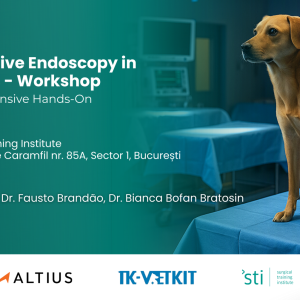 Ticket for Flexible Digestive Endoscopy in Small Animals – Workshop June 12-13, 2026