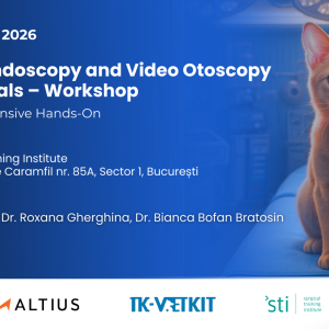 Ticket for Respiratory Endoscopy and Video Otoscopy in Small Animals – Workshop November 21–22, 2026